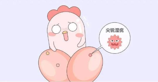 360截圖20250507110809029.jpg